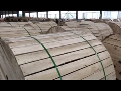 ASTM BS 상공 송신선용 전 알루미늄 선도자